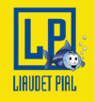 Logo Partenaire Liaudet